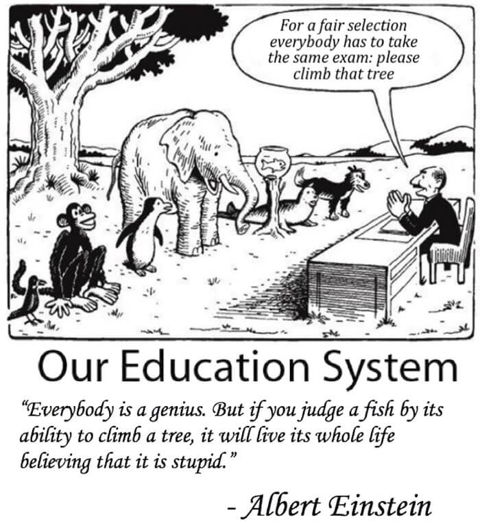 Our Education System